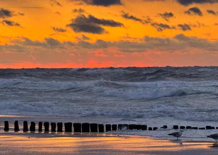 Mika Let's Sea 73 Tuz Przy Plazy, Klimatyzacja, Basen Апартаменты *